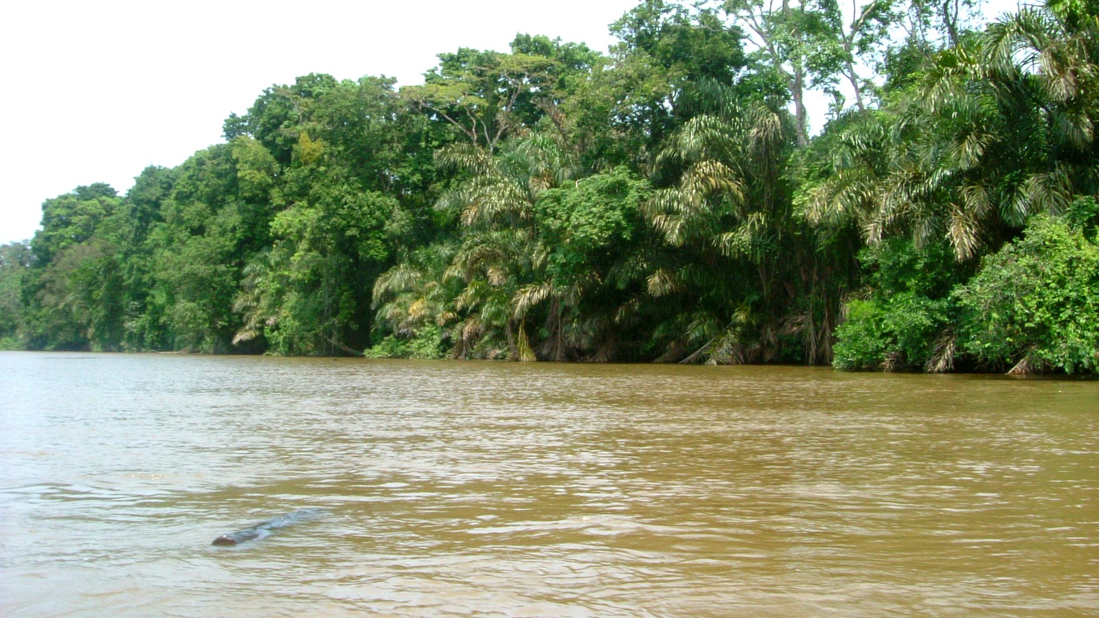 Tortuguero, Costa Rica